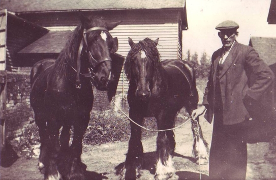 William Sparkes &amp; horses